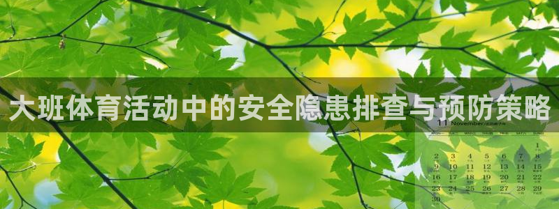 大班体育活动中的安全隐患排查与预防策略