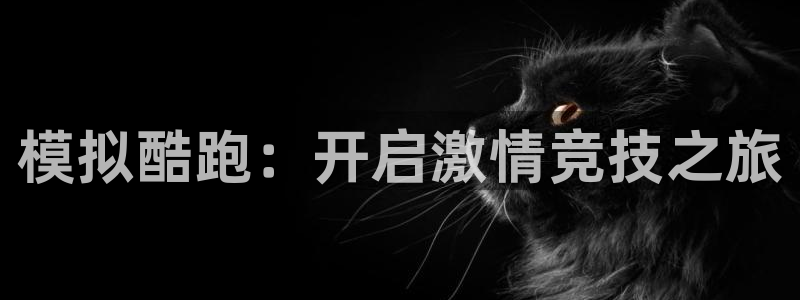 模拟酷跑：开启激情竞技之旅