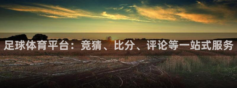足球体育平台：竞猜、比分、评论等一站式服务